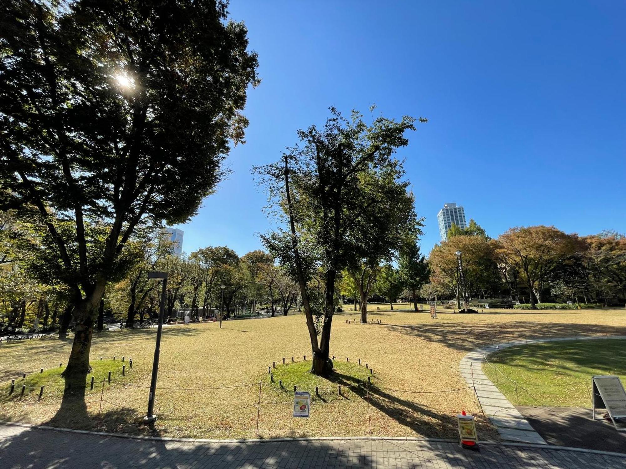 Max4People Shinjuku 7Minutes Shibuya12 Minutes 5Minutes Walk From Hatsudai Station Leon Resort Shibuya Tokyo Exterior photo